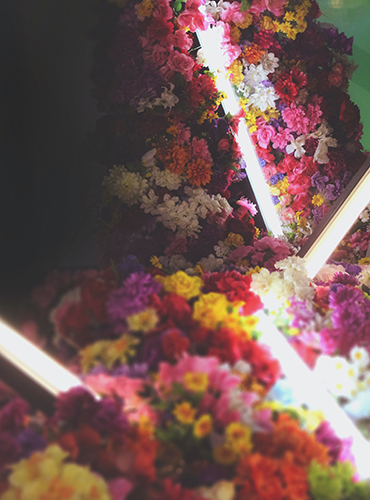 Image featuring colorful flowers in display with lights